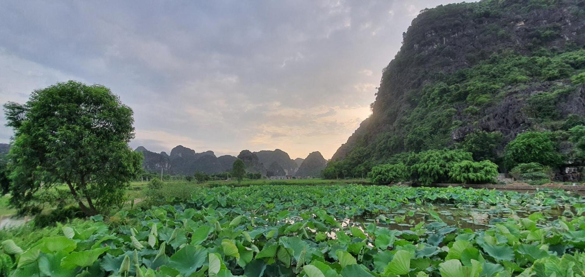 Trang An Rice Field Homestay Ninh Binh Eksteriør billede